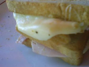 Un Barros Jarpa profesional